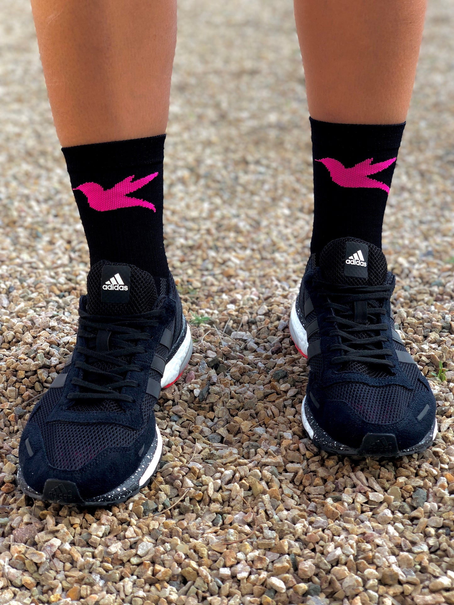 6" Hummingbird Crew Sock in Black & Pink